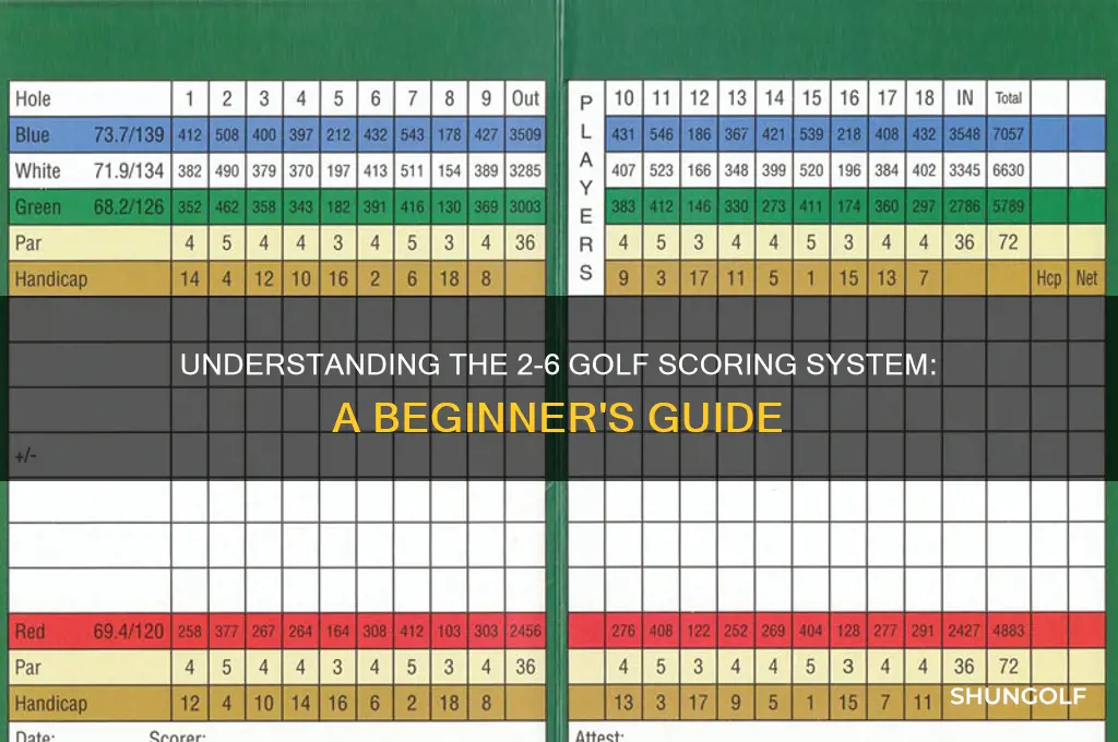 what is 2 6 golf