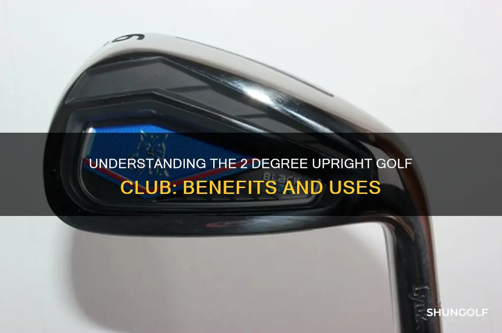 what is 2 degree upright golf club