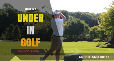 Understanding Golf's 2 Under Par: A Beginner's Guide to Scoring