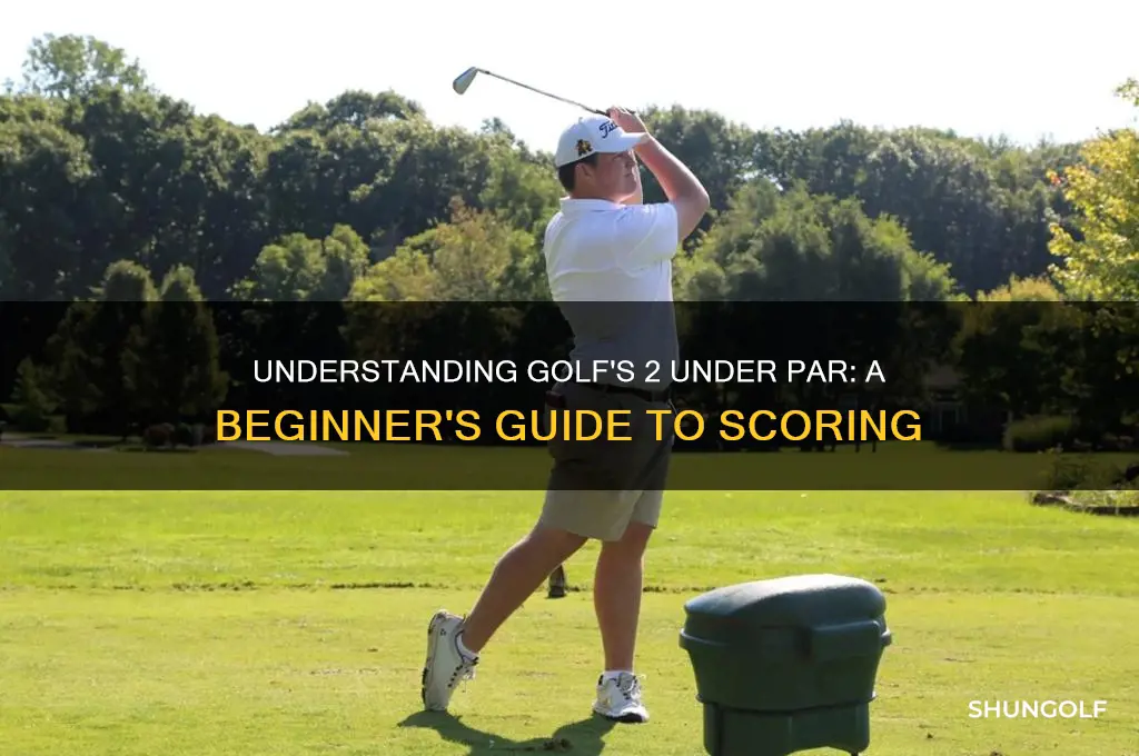 what is 2 under in golf