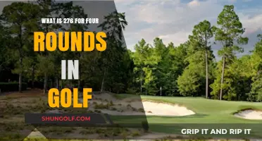Understanding Golf's 276 Score: Four Rounds Explained and Analyzed
