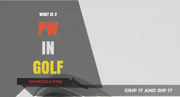Understanding the 3 PW Golf Club: Uses, Benefits, and Techniques