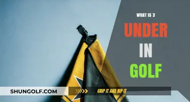 Understanding Golf's 3 Under Par: A Beginner's Guide to Scoring
