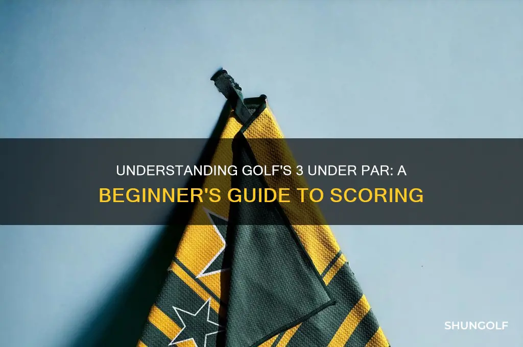 what is 3 under in golf
