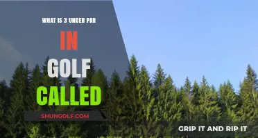 Understanding Golf's Albatross: What's 3 Under Par Called?