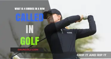 Unveiling Golf's Rare Feat: Consecutive Birdies in a Row Explained