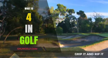 Understanding the Golf Term '4' and Its Impact on Your Game