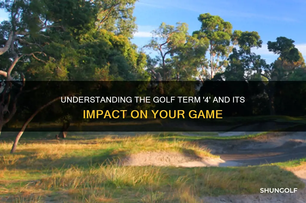 what is 4 in golf