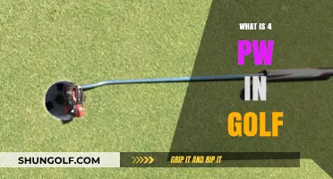 Understanding the 4 Putter Rule in Golf: A Comprehensive Guide
