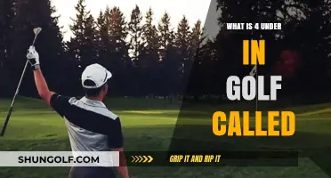 Understanding Golf's 4 Under Par: What's It Called and Why It Matters