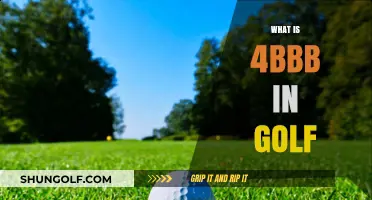 Understanding the 4BBB Golf Format: Rules, Strategy, and Team Play