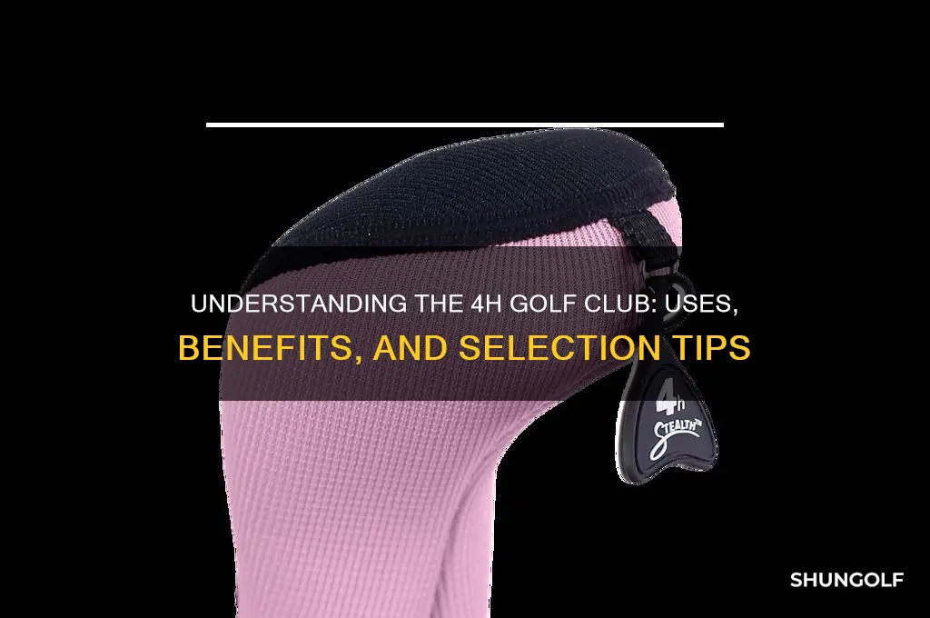 what is 4h golf club
