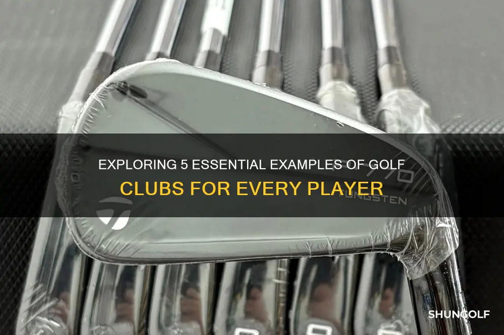 what is 5 ex for golf club