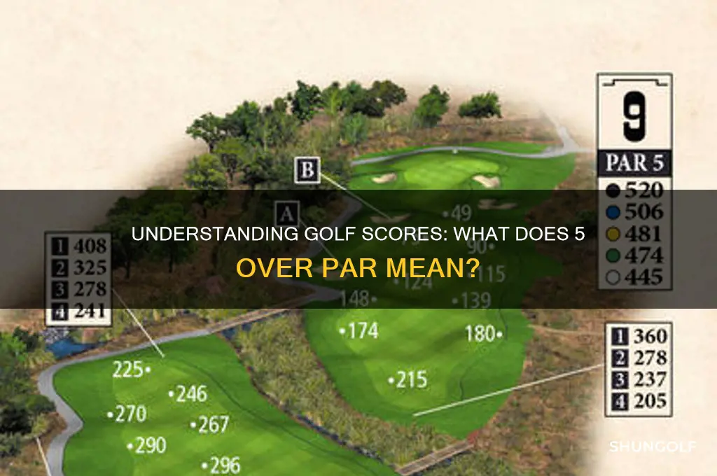 what is 5 over par called in golf