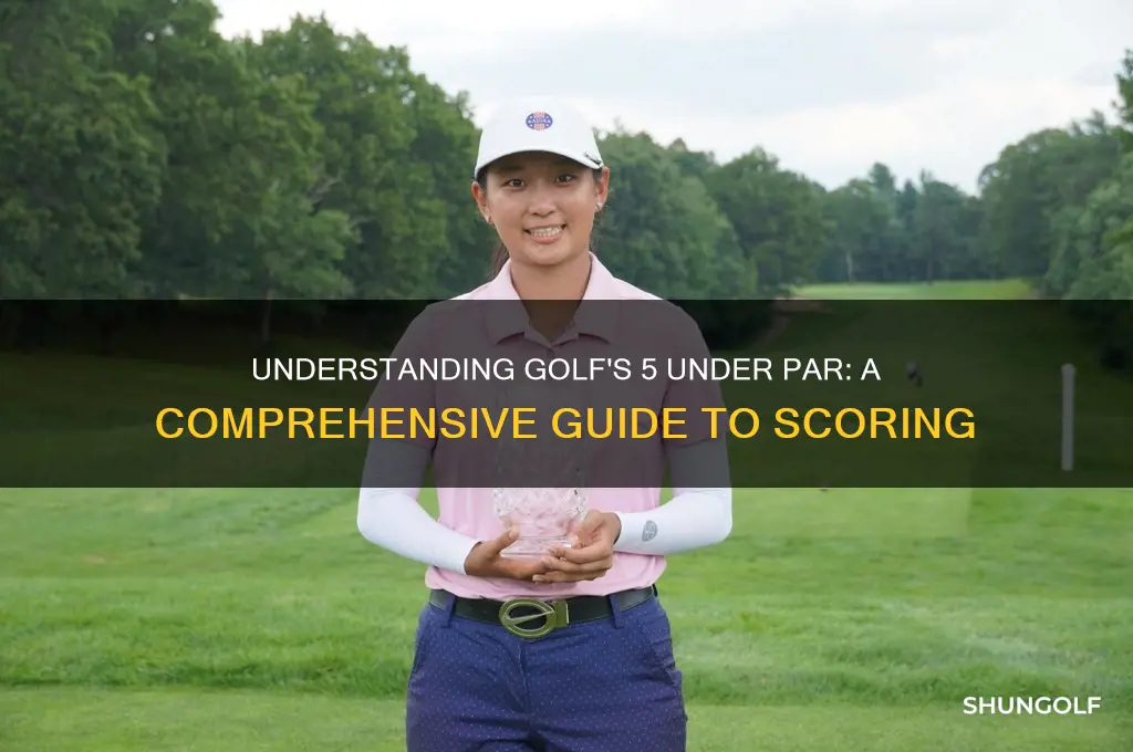 what is 5 under in golf