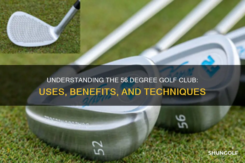 what is 56 degree golf club