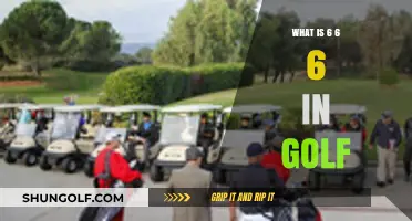 Understanding the 6-6-6 Golf Rule: A Beginner's Guide to Scoring
