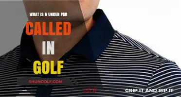 Understanding Golf's Scoring: What's 6 Under Par Called?