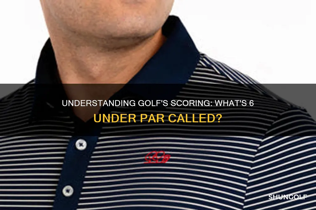 what is 6 under par called in golf