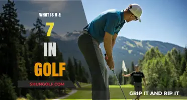 Understanding Golf's 9 & 7 Scoring System: A Beginner's Guide