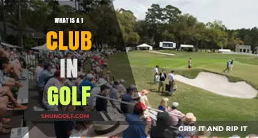 Understanding the 1-Club Challenge in Golf: Rules and Strategy