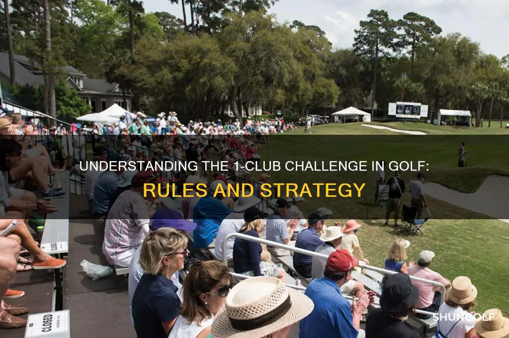 what is a 1 club in golf