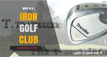 Understanding the 1 Iron Golf Club: Uses, History, and Modern Alternatives
