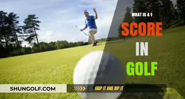 Understanding Golf's 1 Score: A Beginner's Guide to Scoring Basics