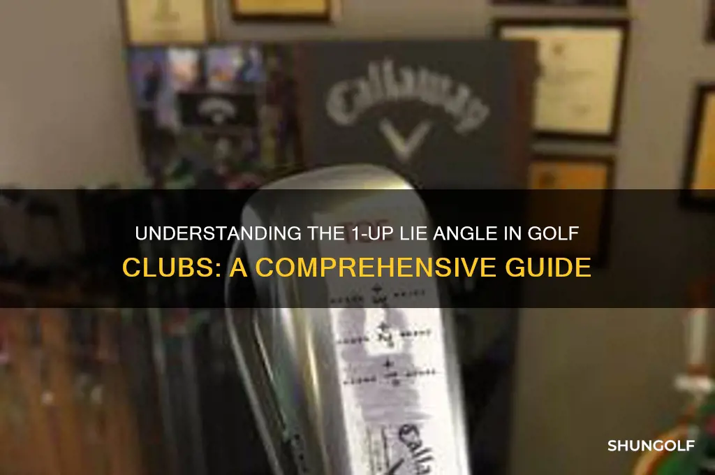 what is a 1 up lie angle of golf clubs