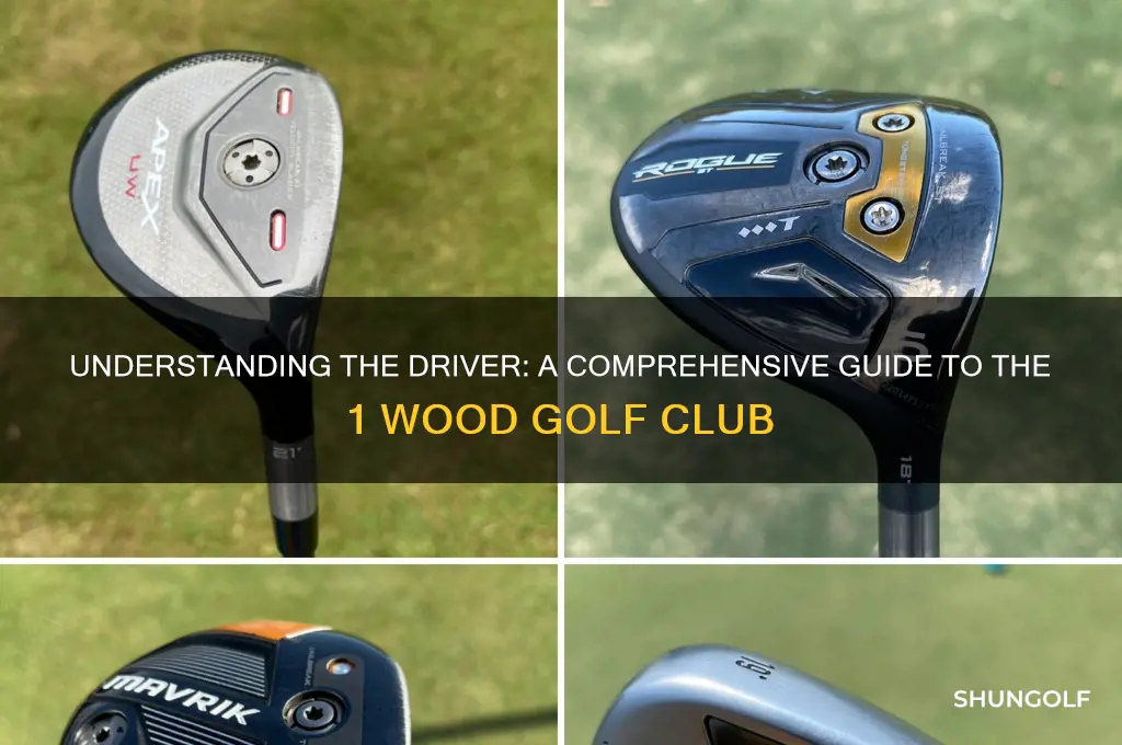 what is a 1 wood golf club