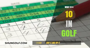 Understanding the Perfect Golf Score: What Makes a 10 in Golf?