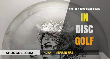 Mastering the Perfect Round: A Guide to Disc Golf's Elite 1000 Rating