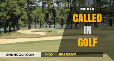 Understanding Golf's 12: A Beginner's Guide to the Term 'Eagle