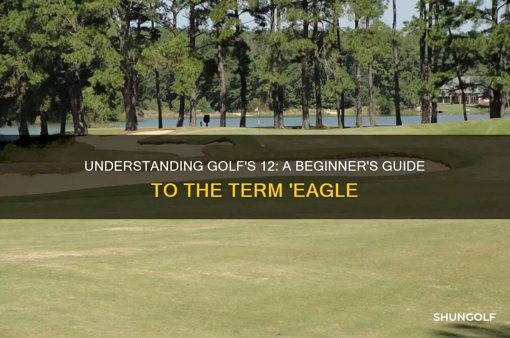 what is a 12 called in golf