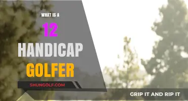 Understanding the Skills and Expectations of a 12 Handicap Golfer