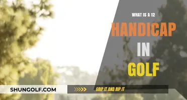 Understanding Golf's 12 Handicap: Definition, Scoring, and Improvement Tips