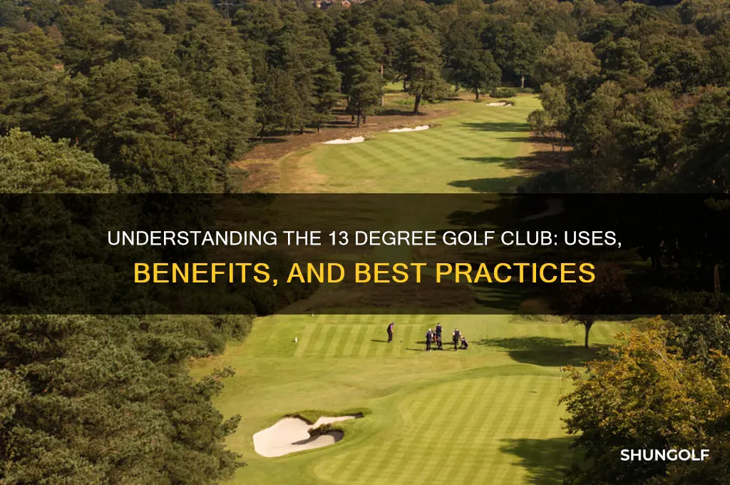 what is a 13 degree golf club