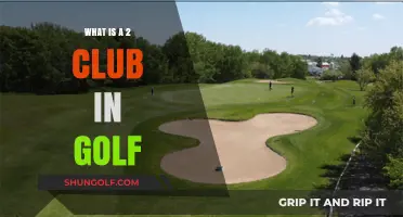 Understanding the 2-Club: Golf's Versatile Fairway and Rough Companion