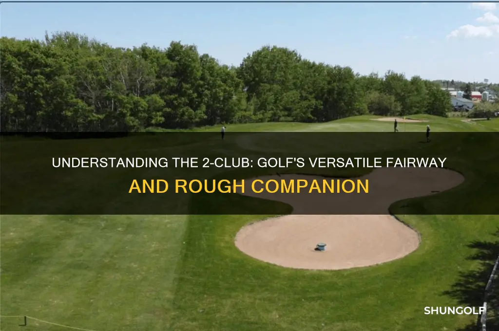 what is a 2 club in golf
