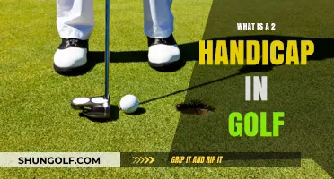 Understanding Golf's 2 Handicap: Definition, Skills, and Course Performance