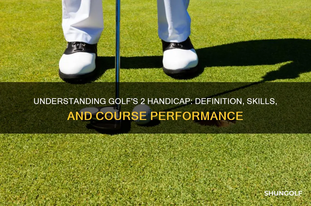 what is a 2 handicap in golf