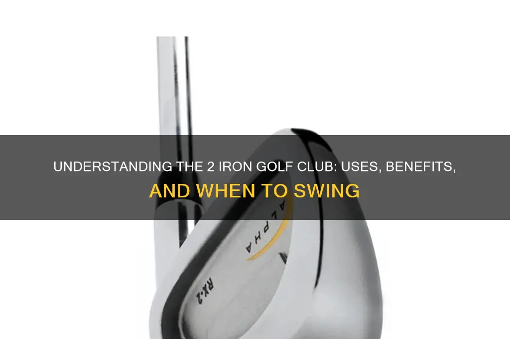 what is a 2 iron golf club
