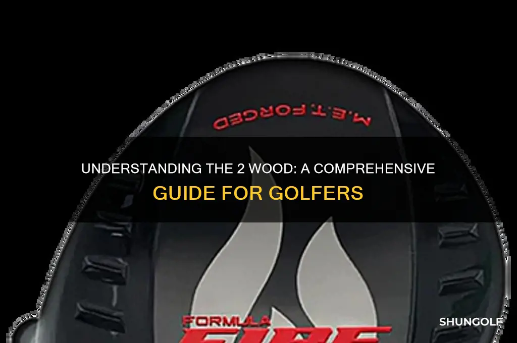 what is a 2 wood in golf