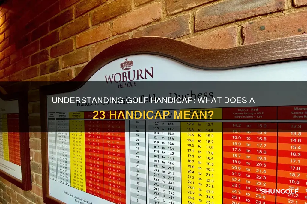 what is a 23 handicap in golf