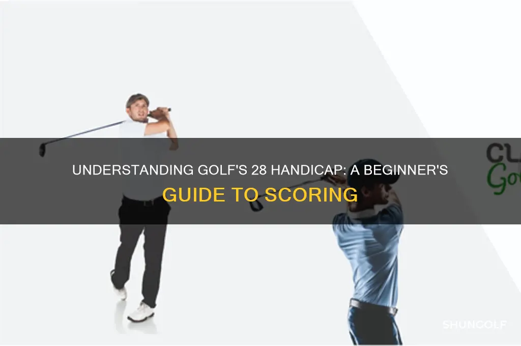 what is a 28 handicap in golf