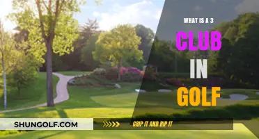 Understanding the 3-Club: A Beginner's Guide to Golf Club Basics