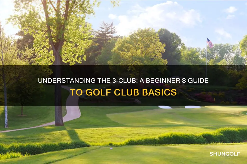 what is a 3 club in golf