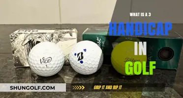 Understanding Golf's 3 Handicap: Skill Level and Course Expectations