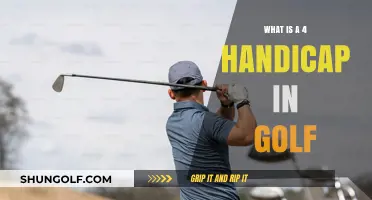 Understanding Golf's 4 Handicap: Skill Level and Course Expectations