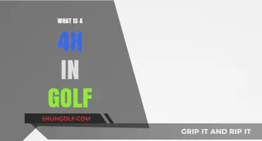 Understanding Golf's 4H Club: Uses, Benefits, and Selection Tips